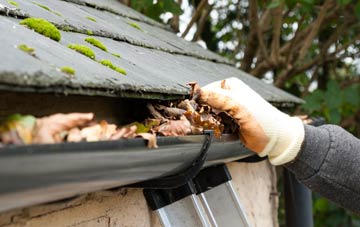 gutter cleaning Isle Of Wight