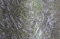 Isle Of Wight fibreglass roof work